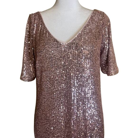 Ann Taylor Pink Sequin V-Neck Shift Dress‎ - Size 4 - NWT - Picture 3 of 7
